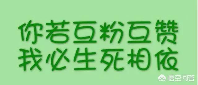 自学英语，学会了语法之后只要背单词就行了吗？